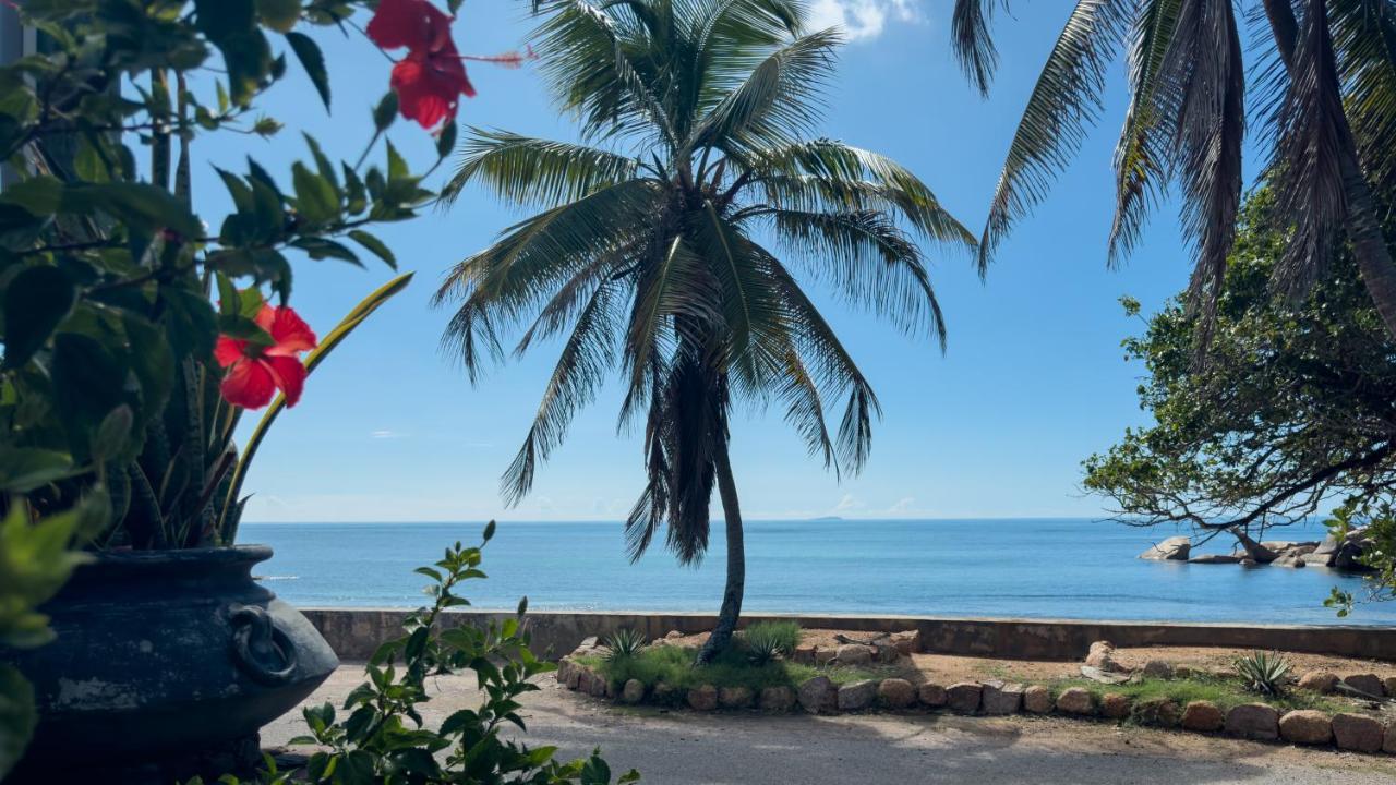 La Petite Maison&Sea Splash Baie Sainte-Anne Extérieur photo